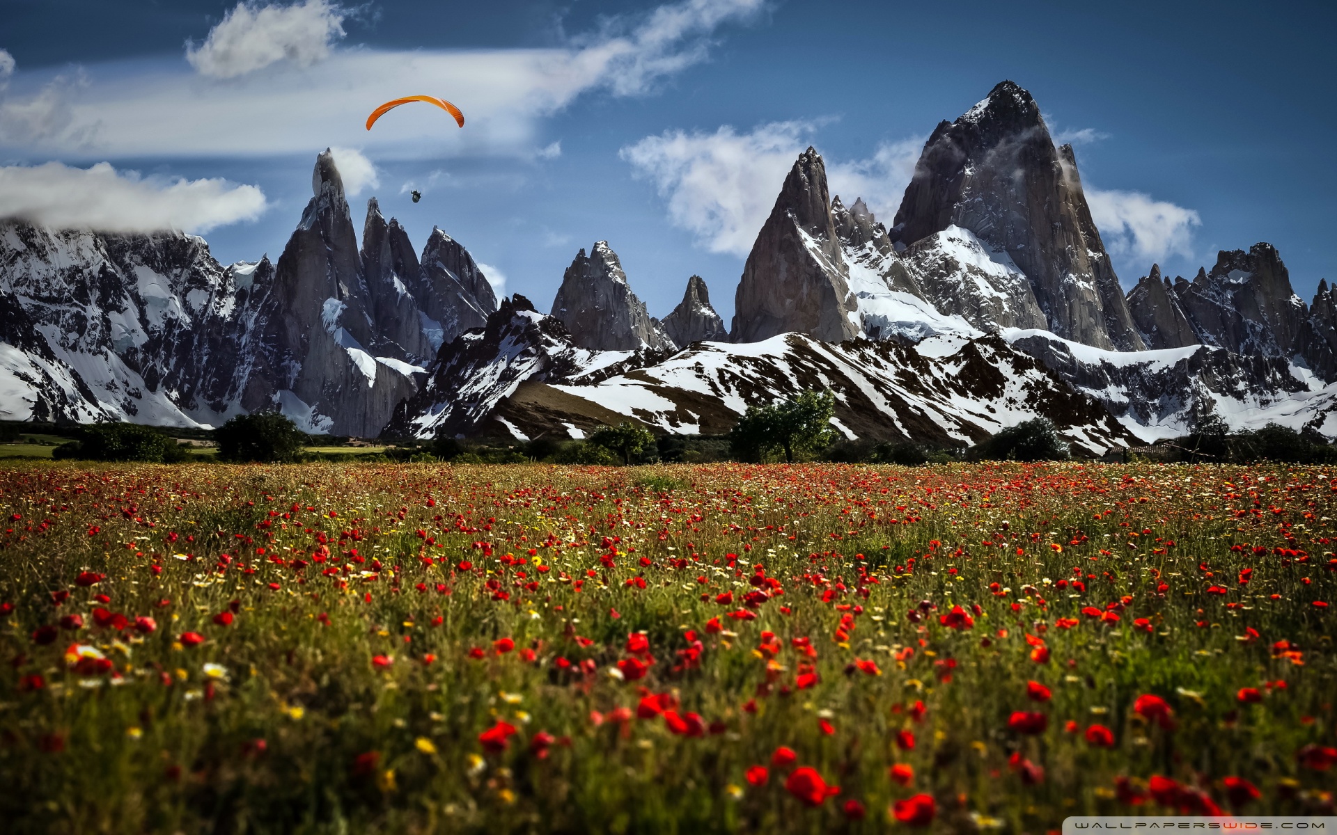 paragliding-wallpaper-1920x1200